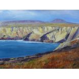 MAVIS GWILLIAM acrylic on canvas - North West coast of Holyhead with Holyhead Mountain in the