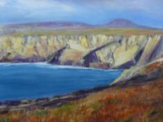 MAVIS GWILLIAM acrylic on canvas - North West coast of Holyhead with Holyhead Mountain in the