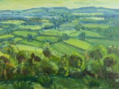 DAVID LLOYD GRIFFITH oil on board - expansive North Wales landscape, initialled and entitled