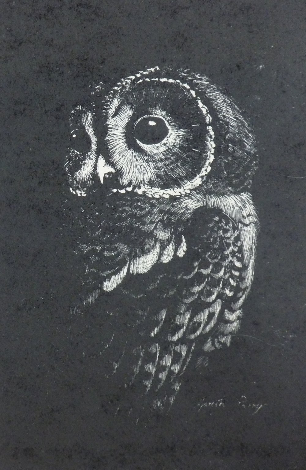 GARETH PARRY woodblock print - an alert owl, 23.5 x 15.5 cms
