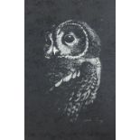 GARETH PARRY woodblock print - an alert owl, 23.5 x 15.5 cms