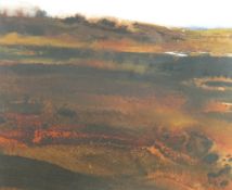 DAVID TRESS watercolour and ink - landscape entitled on Attic Gallery label verso 'Conwy Valley II',