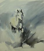 SHIRLEY ANNE OWEN watercolour - misty scene with prancing horse, signed and dated 2008, 38.5 x 34
