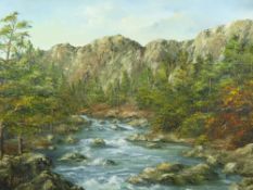 GWYNETH TOMOS oil on canvas - tumbling river in the Aberglaslyn Pass(?), signed, 49 x 75 cms