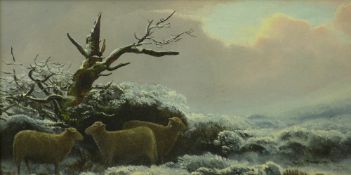 THOMAS FINCHETT oils on board, a pair - each of sheep taking cover in a snowy landscape, signed,