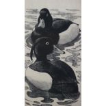 CHARLES FREDERICK TUNNICLIFFE woodcut - two swimming ducks, 16.5 x 8.5 cms