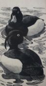 CHARLES FREDERICK TUNNICLIFFE woodcut - two swimming ducks, 16.5 x 8.5 cms