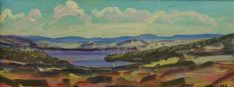 DAVID LLOYD GRIFFITH oil on board - landscape entitled verso 'A Summer's Day on Llyn Brenig,