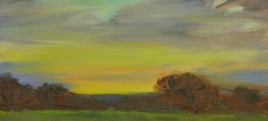 DAVID LLOYD GRIFFITH acrylic - sunset study, signed with initials and initialled and entitled verso,