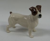 A BESWICK MODEL JACK RUSSELL TERRIER white with brown face and detail to tail and standing with head