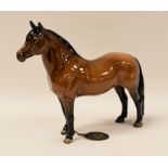 A BESWICK STANDING BROWN HORSE 'DARTMOOR - CHAMPION JENTYL', still with oval Beswick card label tied