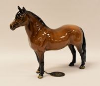 A BESWICK STANDING BROWN HORSE 'DARTMOOR - CHAMPION JENTYL', still with oval Beswick card label tied