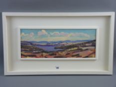 DAVID LLOYD GRIFFITHS oil on board - landscape entitled verso 'A Summer's Day on Llyn Brenig, 2012',