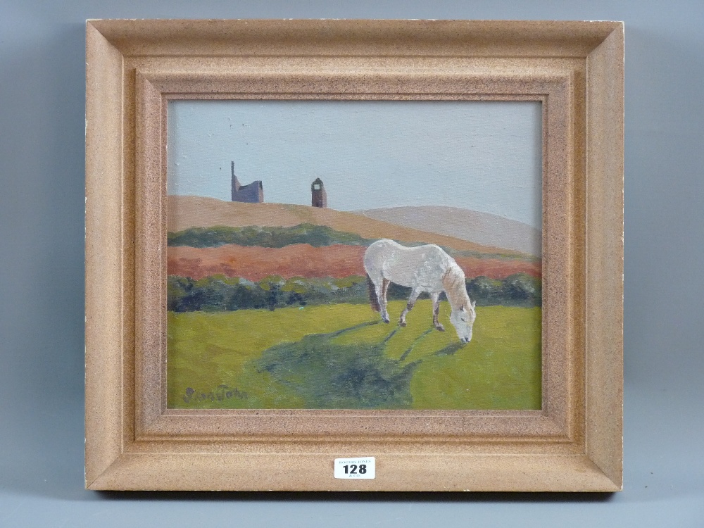 SARA JOHN oil on canvas - white horse grazing with ruins on a hill in the background, signed, 9.5