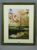 TINA HOLLEY coloured print - river and trees, entitled 'Afon Llugwy, Capel Curig, 39 x 27 cms