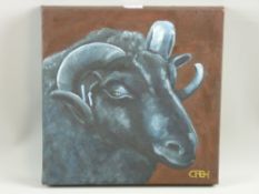 CARL F HODGSON acrylic on canvas - head study of a ram, monogrammed, entitled verso 'Black Sheep',