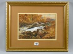 JOHN JOHNSON RCA watercolour - river scene, signed and entitled verso 'On the Dulyn', 19 x 29 cms