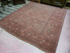 A large washed Afghan red ground carpet with all over traditional design and tasselled ends, 280 x