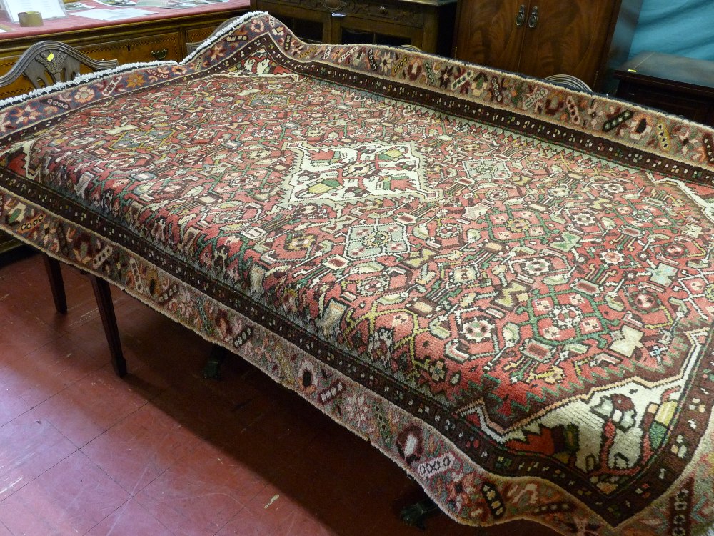 A brown bordered Iran rug with red ground all over traditional design pattern, 210 x 148 cms