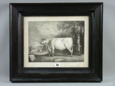 After DANIEL CLOWES engraving of a bull with handler in the grounds presumed to be of Nannau and