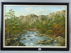 GWYNETH TOMOS oil on canvas - tumbling river in the Aberglaslyn Pass(?), signed, 49 x 75 cms