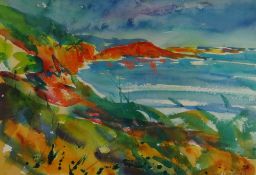 SUE MCDONAGH watercolour - coastal scene with bay, signed, 25 x 36cms