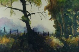 R. LAWRENCE watercolour - landscape with woodland, signed, 35 x 51.5cms