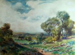 F. KERR watercolour - landscape with trees, indistinctly signed, 35 x 48cms