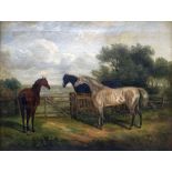 THOMAS SMYTHE oil on canvas - study of three standing horses by a gate, (in a gilded frame with