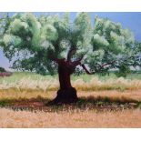 NORMAN CHECKETTS oil on canvas - tree in a sunny Continental landscape, 93 x 111cms