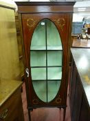 AN EDWARDIAN MAHOGANY DISPLAY CABINET, the single oval glazed door with painted floral decoration