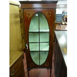 AN EDWARDIAN MAHOGANY DISPLAY CABINET, the single oval glazed door with painted floral decoration