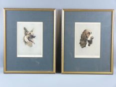 ALICE BARNWELL lithographs, a pair - head study of a German shepherd dog and of a springer