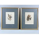 ALICE BARNWELL lithographs, a pair - head study of a German shepherd dog and of a springer