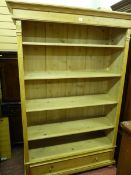 AN ANTIQUE STYLE PINE BOOKCASE with simple carved decoration, adjustable shelves and single lower