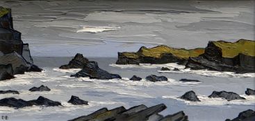 DAVID BARNES oil on board - Anglesey coastal scene, Porth Dafarch, signed with initials, 30 x 59cms