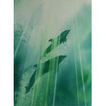 NAOMI TYDEMAN watercolour - entitled ‘Dolphin Through the Sunlight, Pembrokeshire’, signed, 36 x