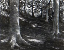 SUSAN DALLADAY charcoal on paper - woodland scene, entitled ‘The Cool of a Beechwood on a Hot