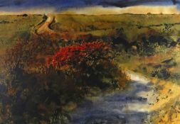 DAVID TRESS watercolour - landscape entitled ‘Red Thorn Coast Road’, signed and dated 1985, 35 x