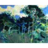 JACK SHORE mixed media - woodland with tall trees on a bright day, signed, 30 x 37cms