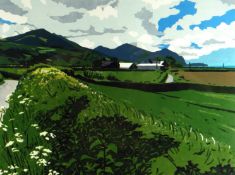 ANN LEWIS limited edition (7/8) linocut - ‘Umbelifers and Hawthorne on the road to Aberdesach’,