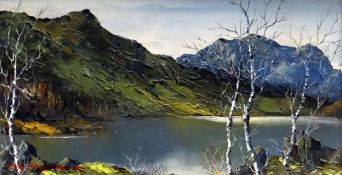 CHARLES WYATT WARREN oil on board - Snowdonia mountains with lake to foreground, signed, 19 x 34cms