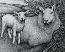 SEREN BELL pen and ink - study of a ewe and lamb sheltering, 30.5 x 38cms