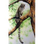 JULIE BARBOUR watercolour - leopard crouched on tree branch, entitled verso ‘Leopard Watch’, signed,