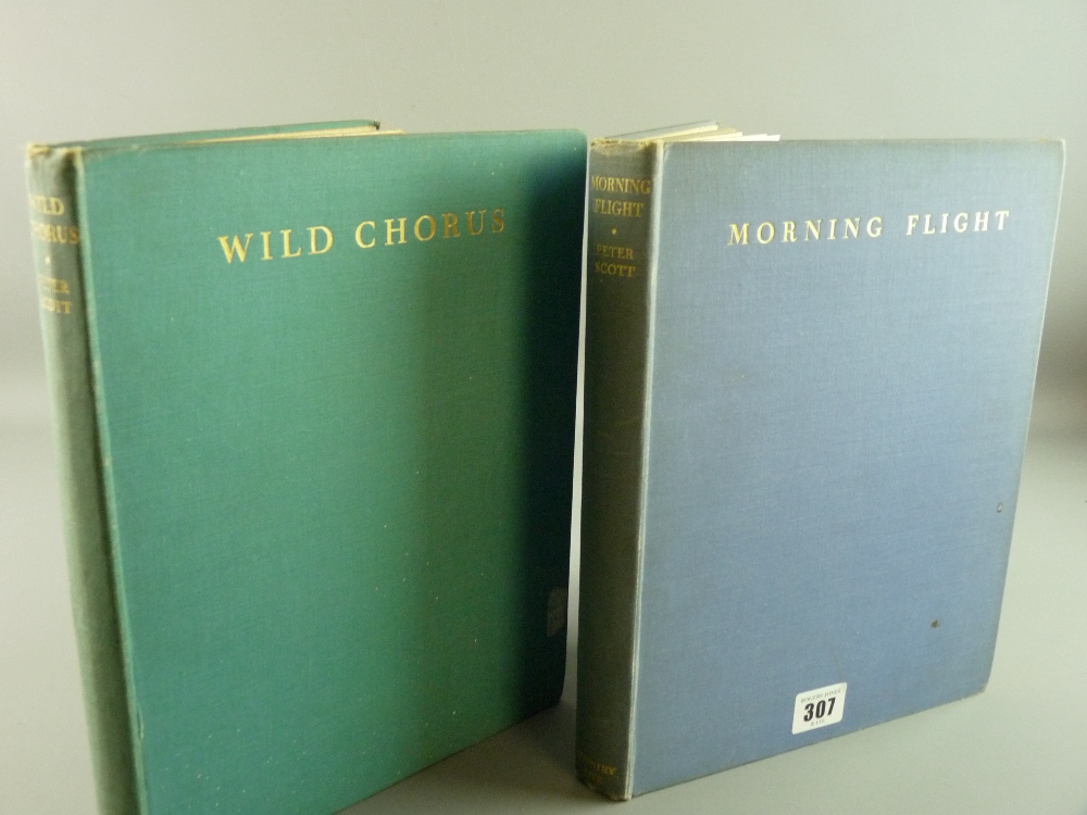 BOOKS - 'Morning Flight', a book of wild fowl written and illustrated by Peter Scott, fifth