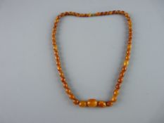 A GRADUATED AMBER BEAD NECKLACE with screw-in clasp, fifty four in total, 2 cms the largest, 61