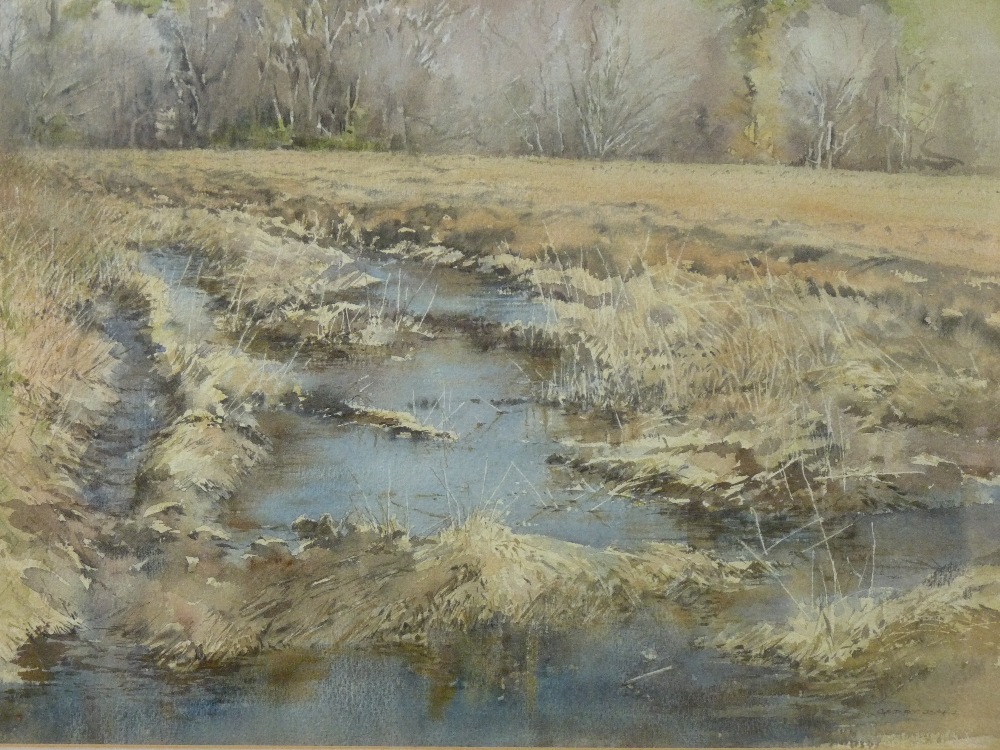 GERRY BALL watercolour - titled 'Winter Field, No. 1', signed lower right, 32.5 x 38.5 cms