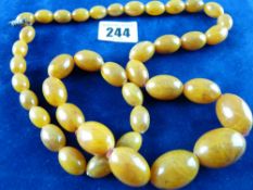 A GRADUATED AMBER BEAD NECKLACE with screw-in clasp, forty one in total, 3 cms the largest, 78 cms