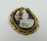 A VICTORIAN CAMEO BROOCH with Neo-Classical profile of a lady with coloured grape vines on a black