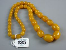 A GRADUATED SET OF BUTTERSCOTCH AMBER BEADS, approximate measurements, 64 cms long, the largest bead